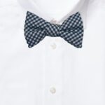 Blue and White Checkered Silk Bowtie