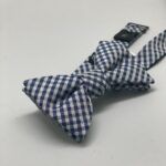 Blue and White Checkered Silk Bowtie
