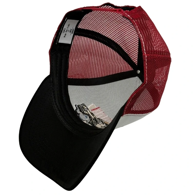 Multicolor Trucker Cap for Men
