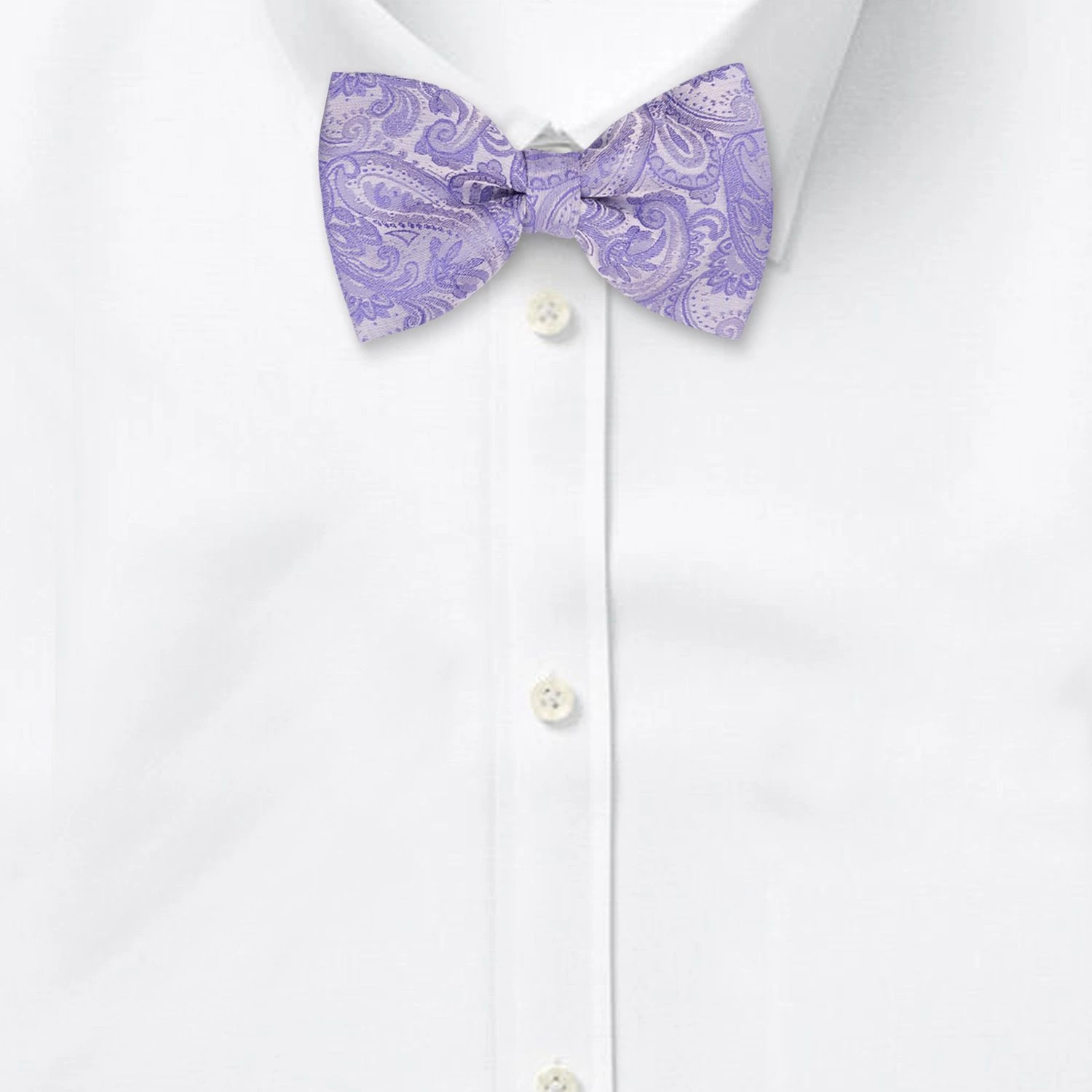 Purple Paisley Pre-Tied Bow Tie for Men