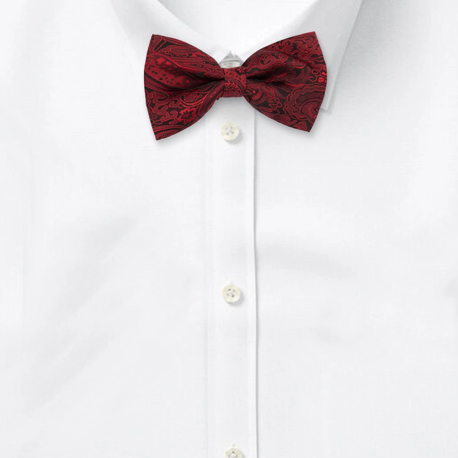 Burgundy Paisley Pre-Tied Bow Tie for Men