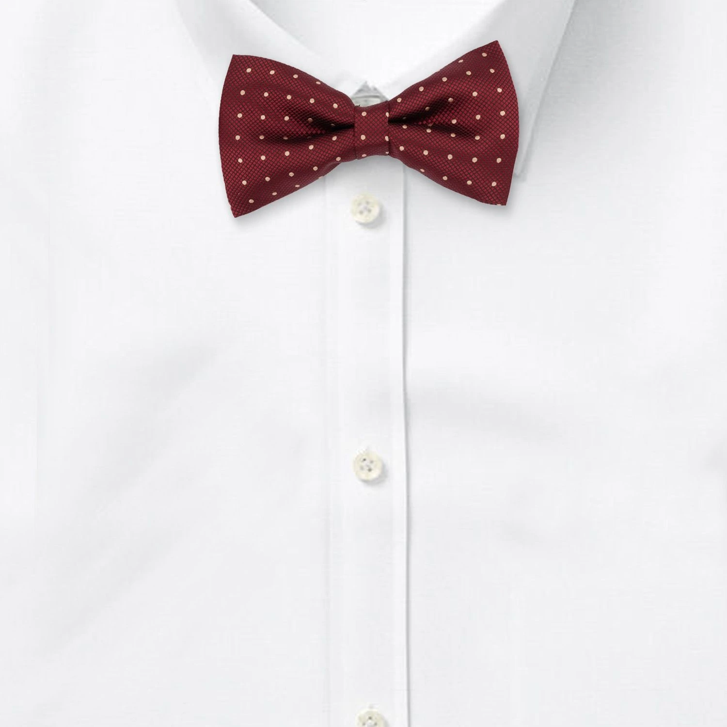 Burgundy Polka Dot Pre-Tied Bow Tie for Men