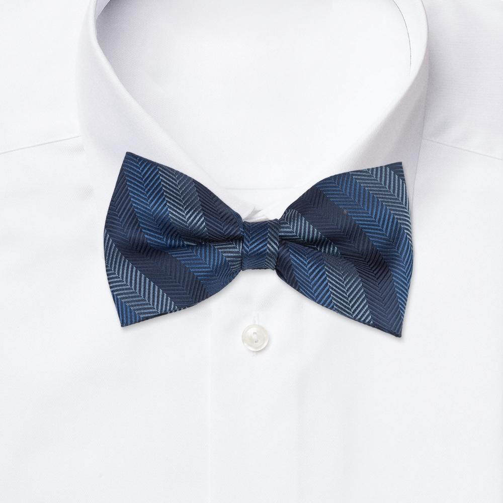 Blue Striped Pre-Tied Bow Tie for Men