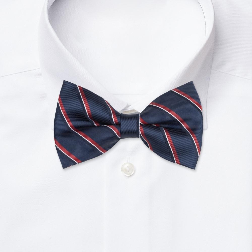 Navy Blue Striped Pre-Tied Bow Tie for Men