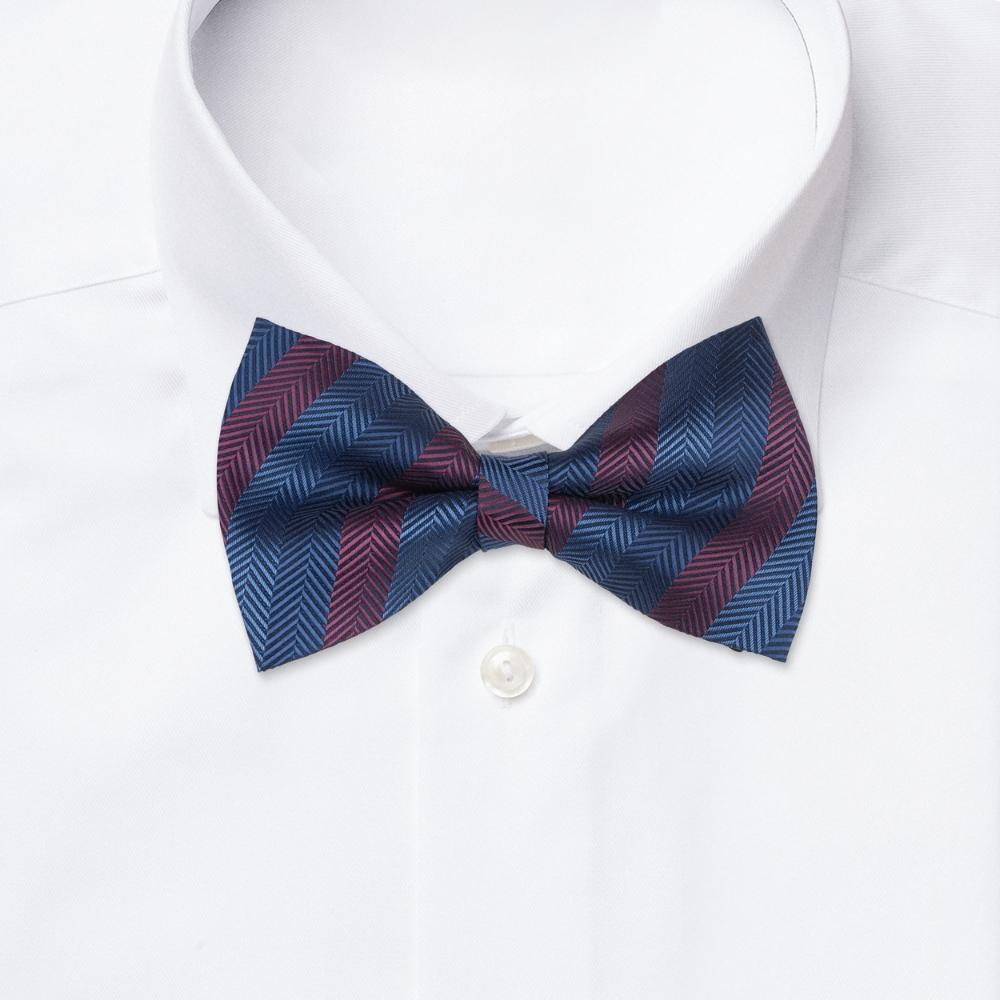 Blue Striped Pre-Tied Bow Tie for Men