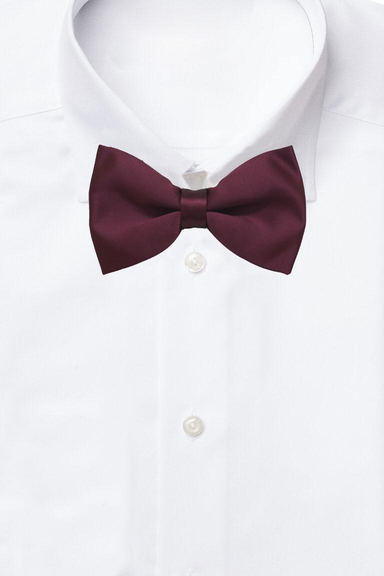 Purple Pre-Tied Bow Tie for Men