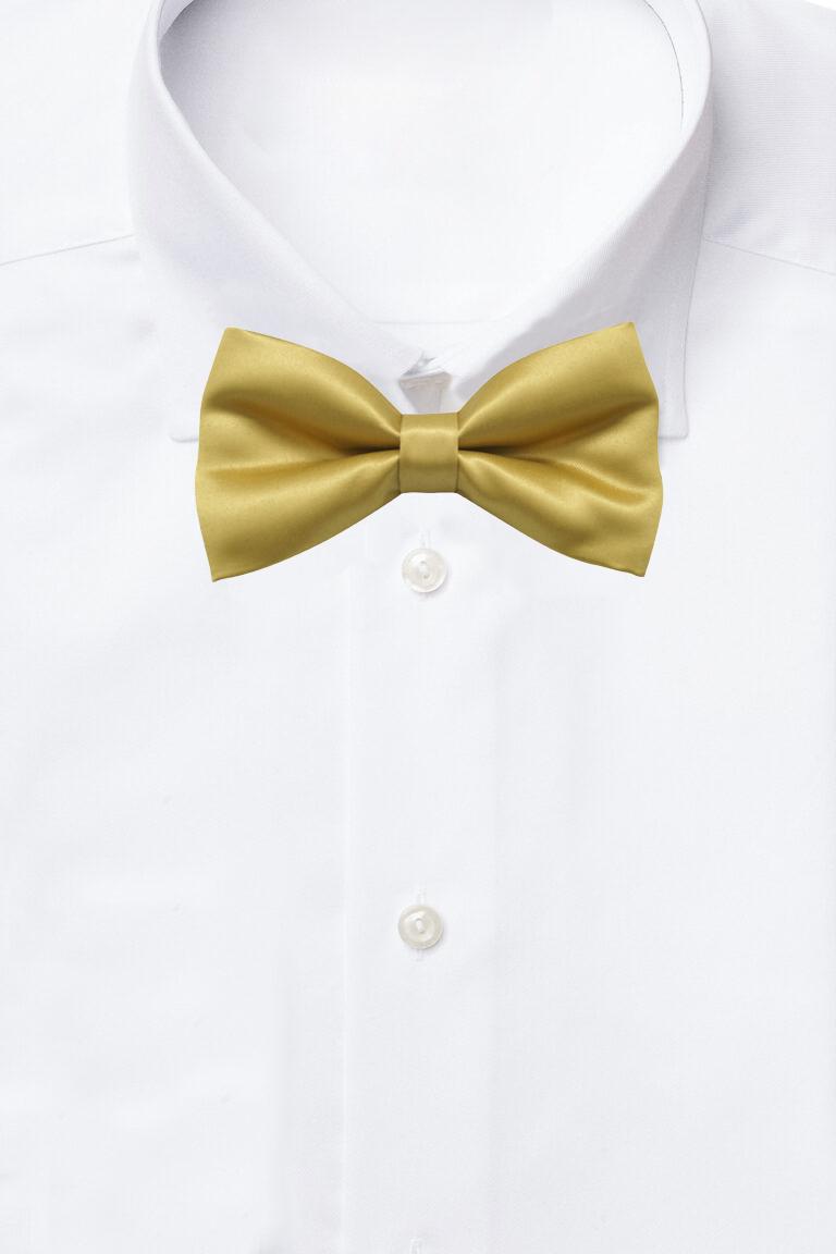Gold Pre-Tied Bow Tie for Men