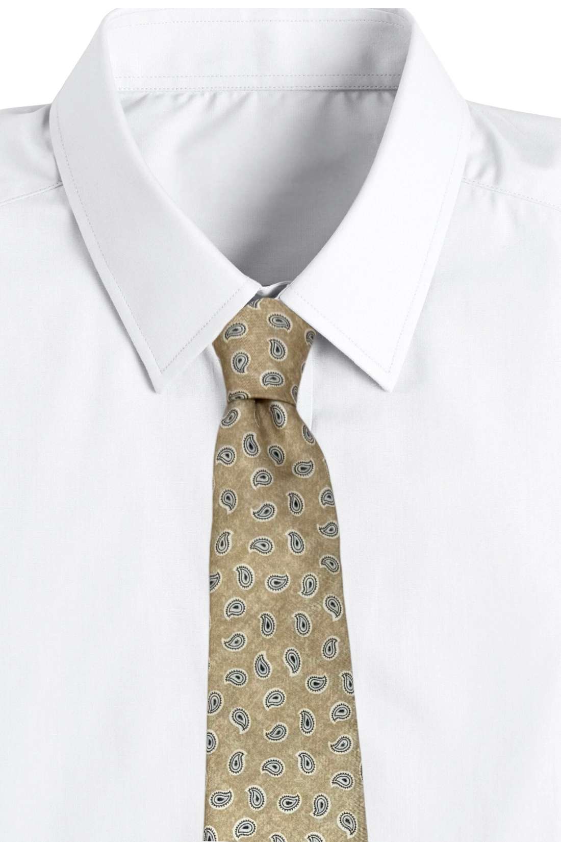 Beige Mini Paisley Silk Necktie for Men