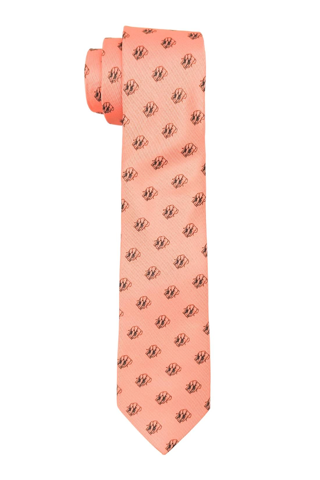 Orange Conversational Microfiber Necktie for Men
