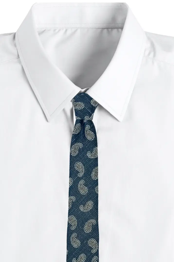 Blue Paisley Microfiber Necktie for Men