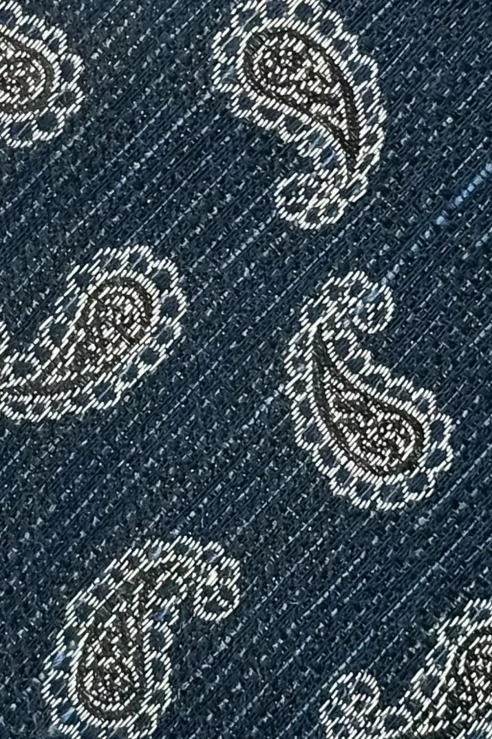 Blue Paisley Microfiber Necktie for Men