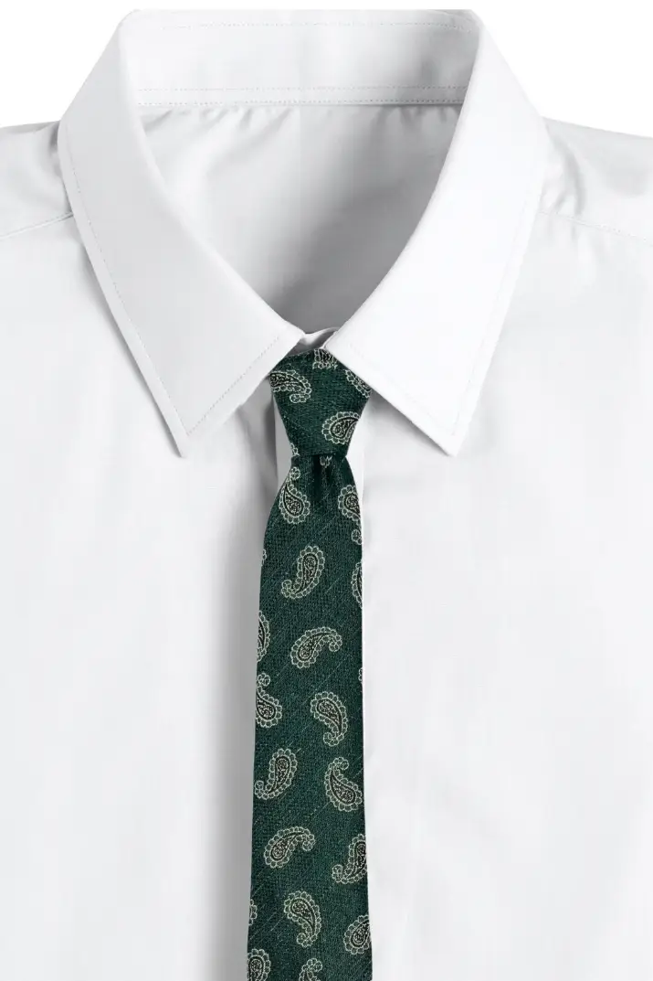 Green Paisley Microfiber Necktie for Men