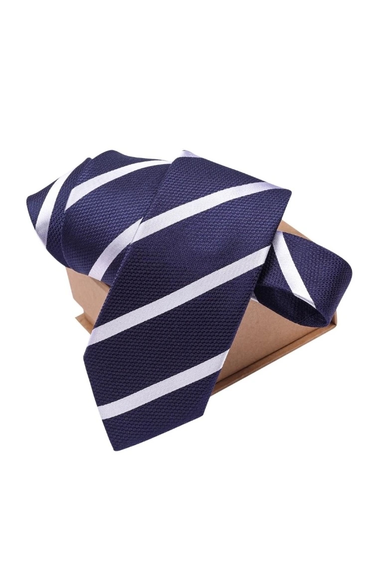 Blue Striped Silk Necktie for Men