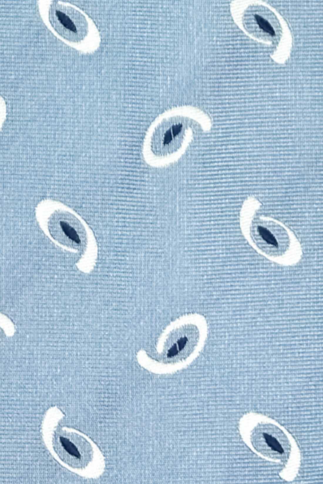 Blue Paisley Silk Necktie for Men