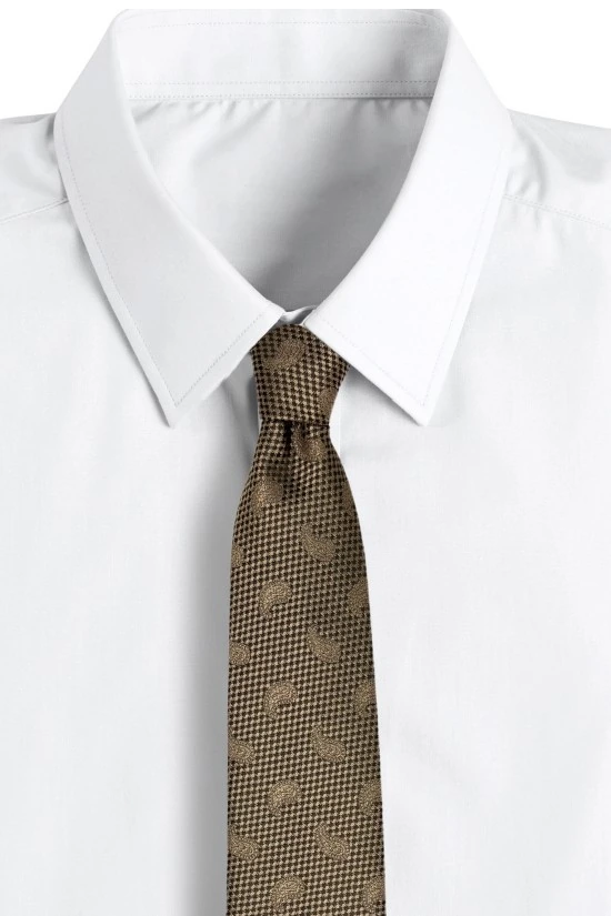 Brown Paisley Silk Necktie for Men