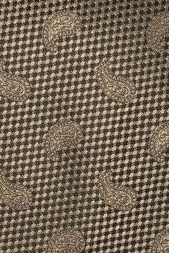 Brown Paisley Silk Necktie for Men