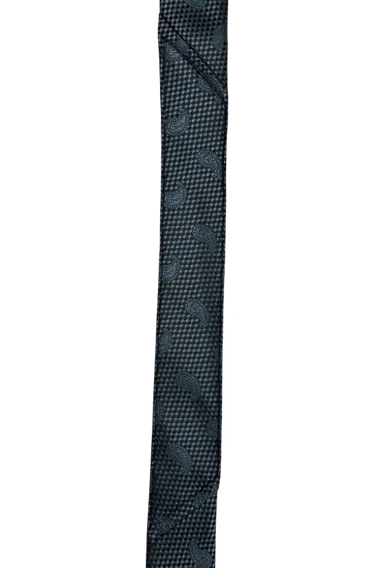 Blue Paisley Silk Necktie for Men