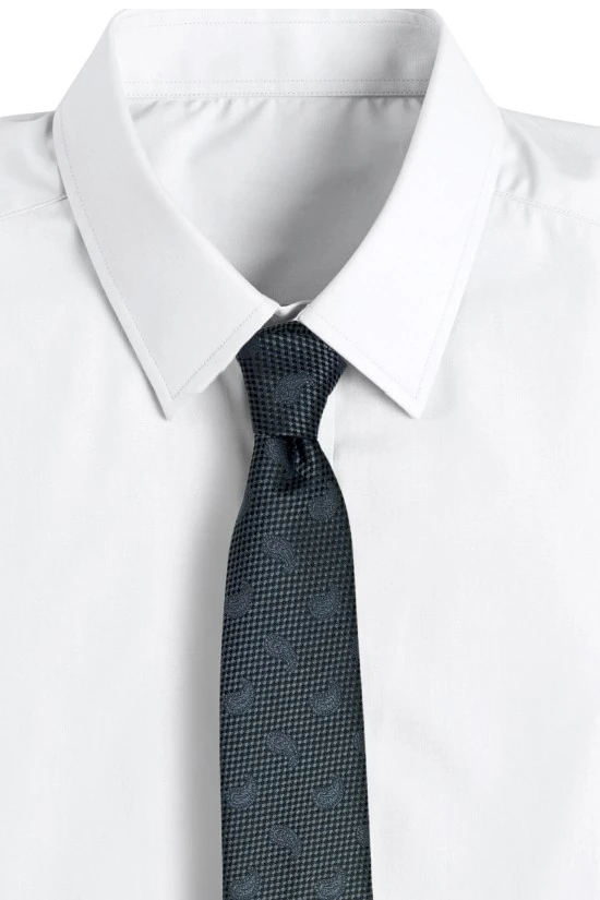 Blue Paisley Silk Necktie for Men