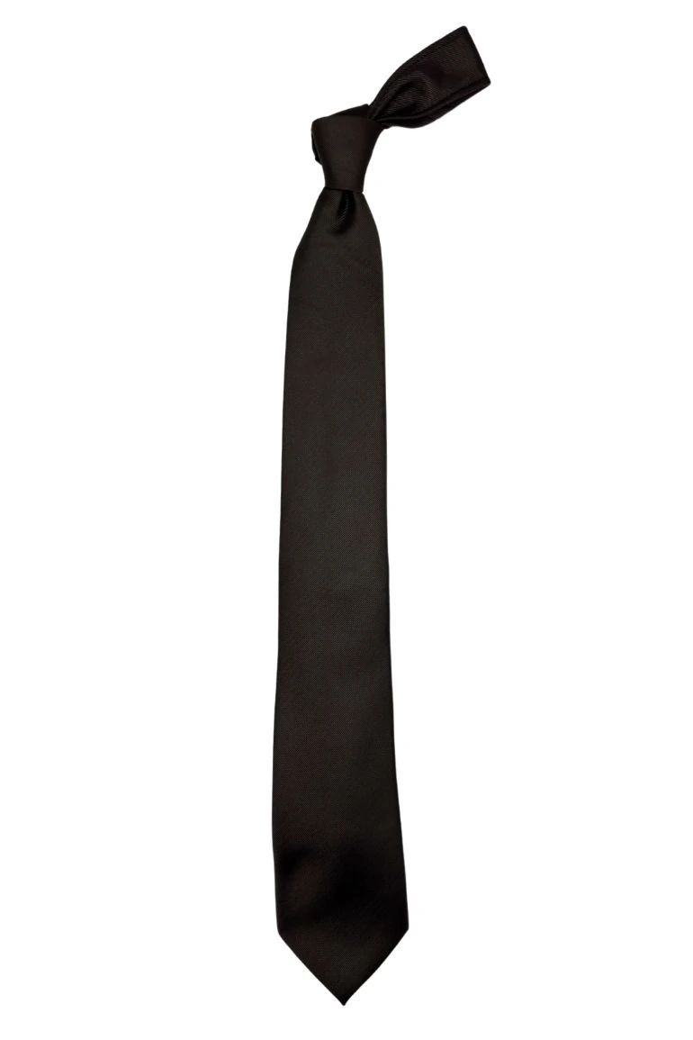 Brown Solid Silk Necktie for Men