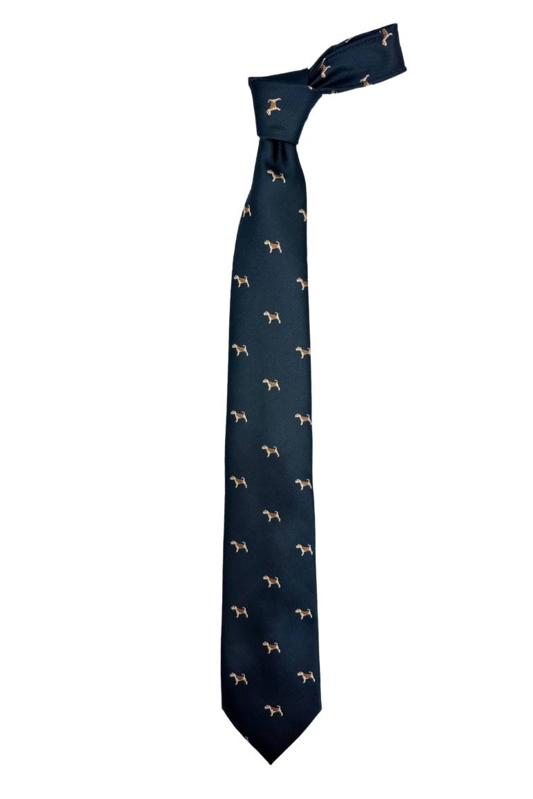 Blue Conversational Silk Necktie for Men