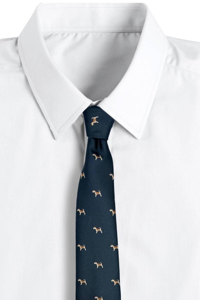 Blue Conversational Silk Necktie for Men
