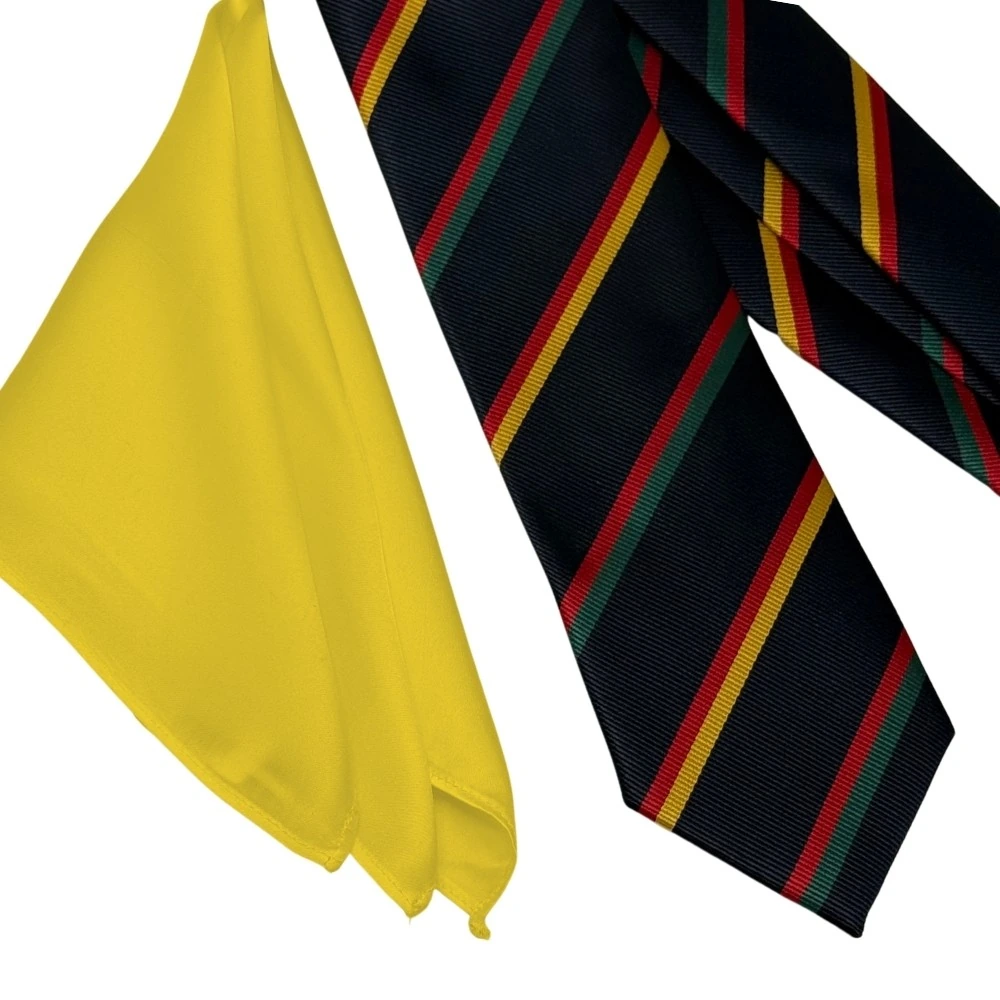 Navy Blue Multicolor Stripes Necktie with Yellow Pocket Square Combo for Men