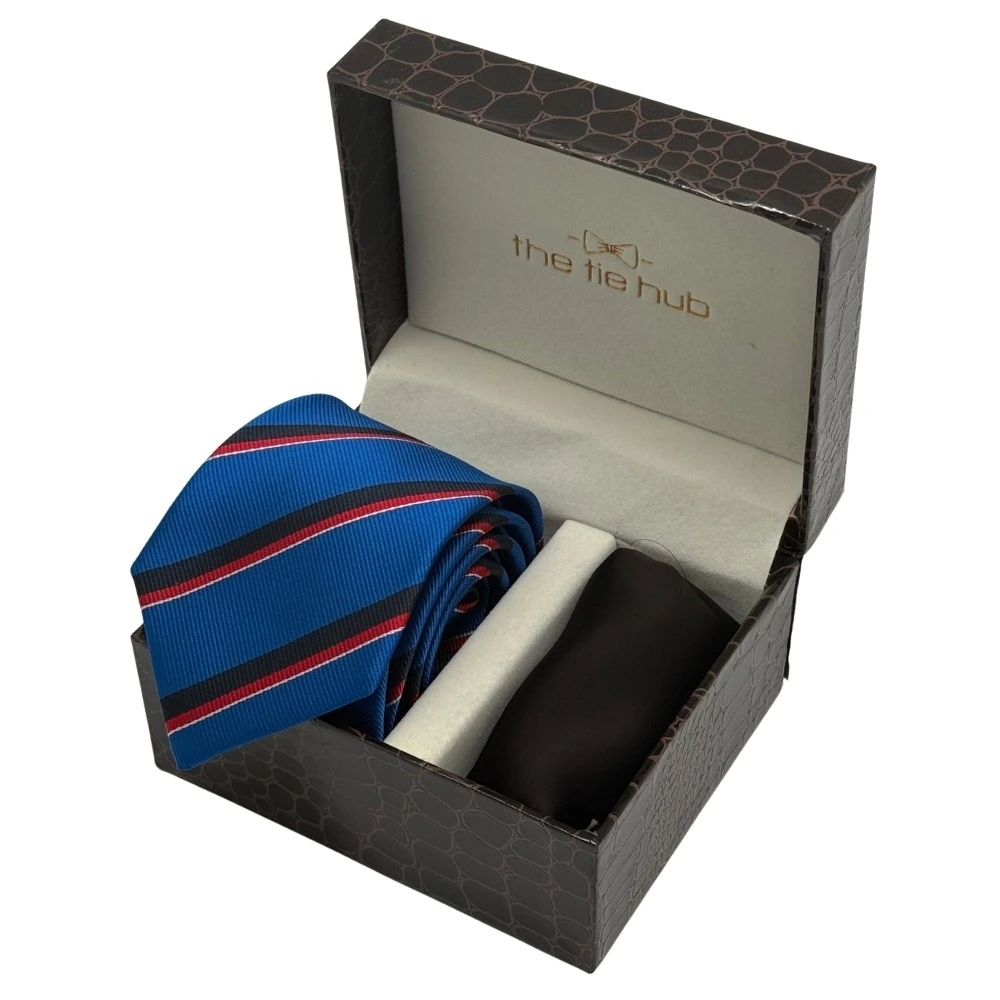 Blue and Red Stripes Necktie with Brown Pocket Square Combo for Men
