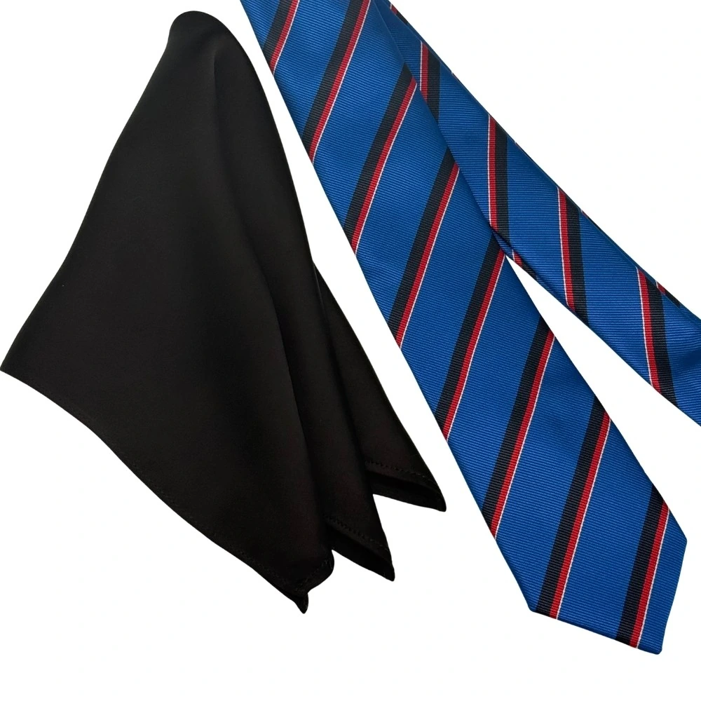 Blue and Red Stripes Necktie with Brown Pocket Square Combo for Men