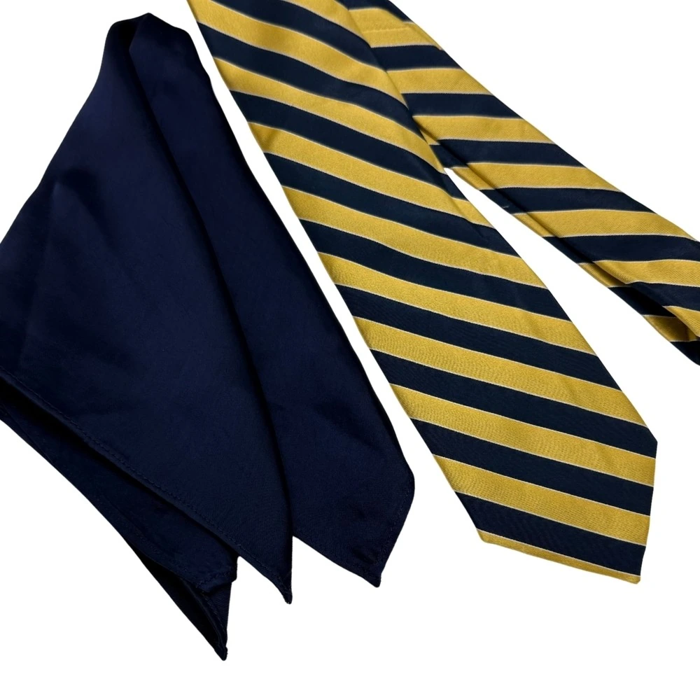Navy Blue and Yellow Silk Necktie with Navy Blue Pocket Square Combo - Stripe Design for Men