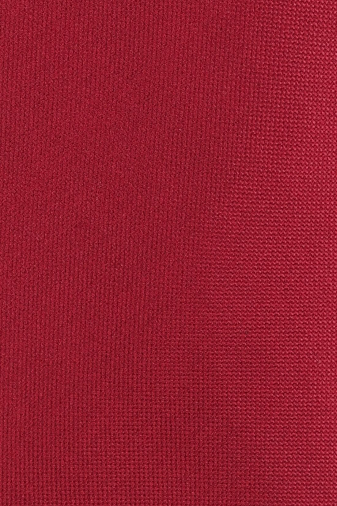 The Tie Hub Solid Red Silk Premium Necktie