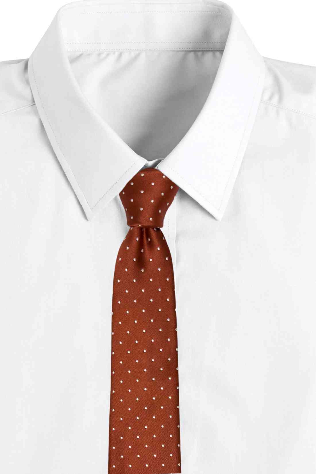 Rust Brown Polka Dot Silk Necktie ย Formal & Business Wear Tie