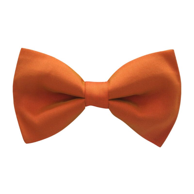Bow tie for men